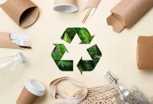 the-future-of-sustainable-packaging:-revolutionary-alternatives-to-traditional-plastics