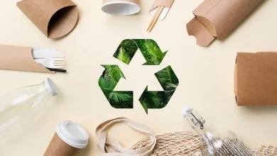 the-future-of-sustainable-packaging:-revolutionary-alternatives-to-traditional-plastics